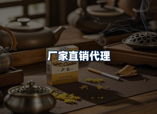 专业团队办公环境
